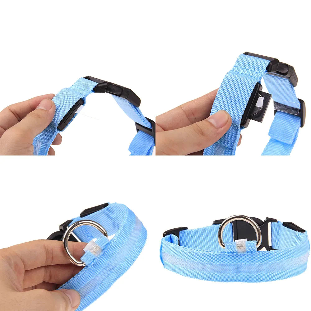 Viral LED Adjustable Dog Collar - Blinking Flashing Light Up Glow Pet Safety Waterproof