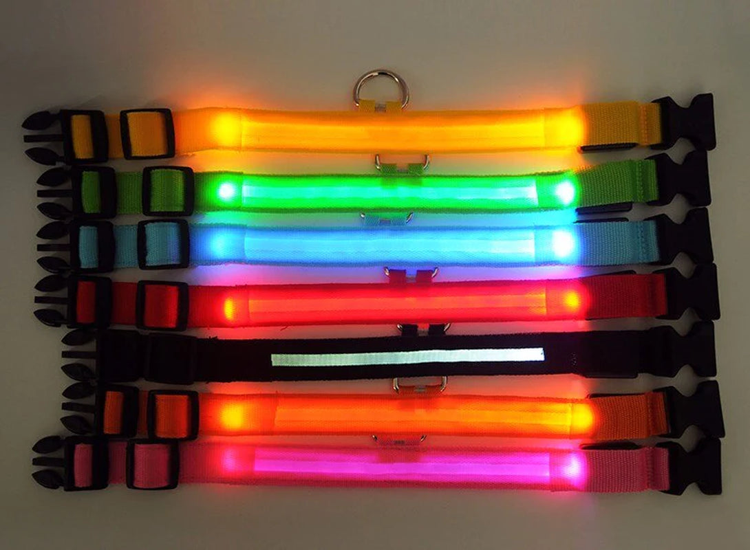 Viral LED Adjustable Dog Collar - Blinking Flashing Light Up Glow Pet Safety Waterproof