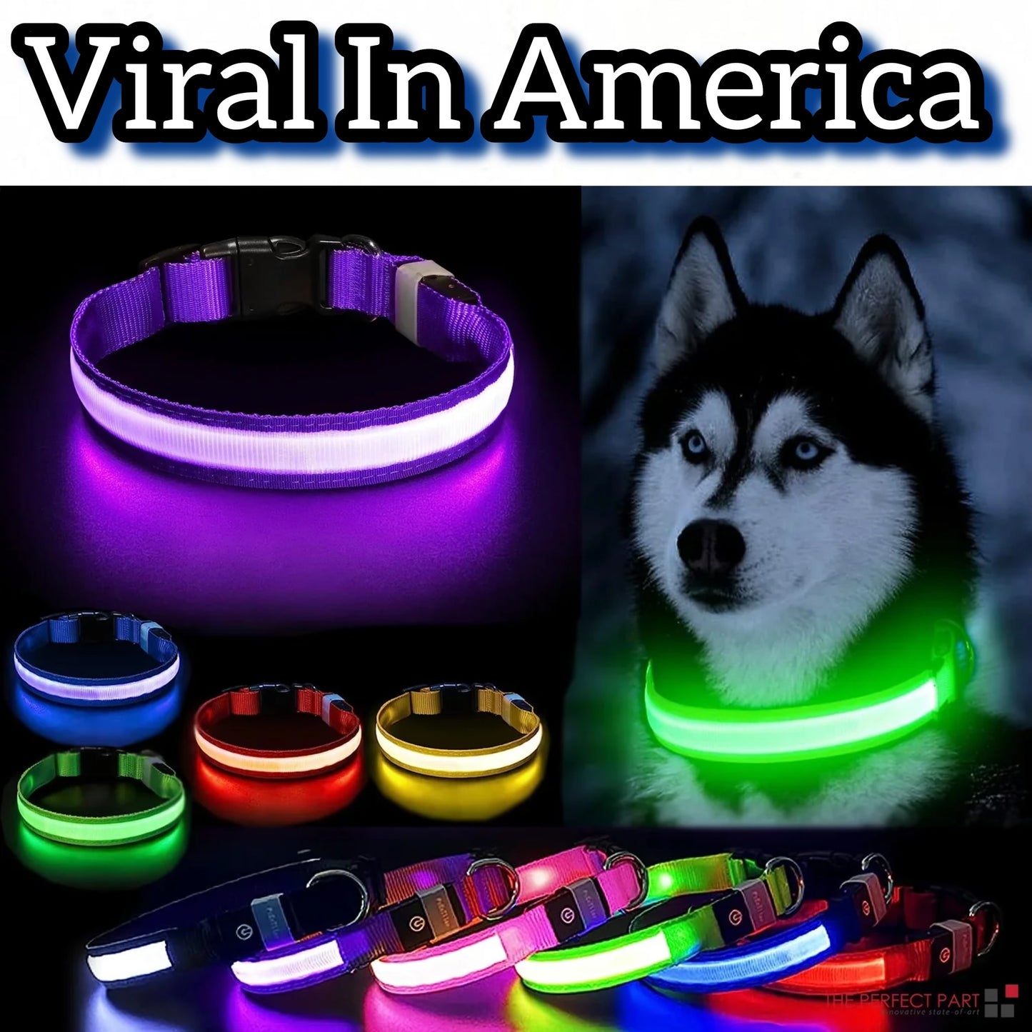 Viral LED Adjustable Dog Collar - Blinking Flashing Light Up Glow Pet Safety Waterproof