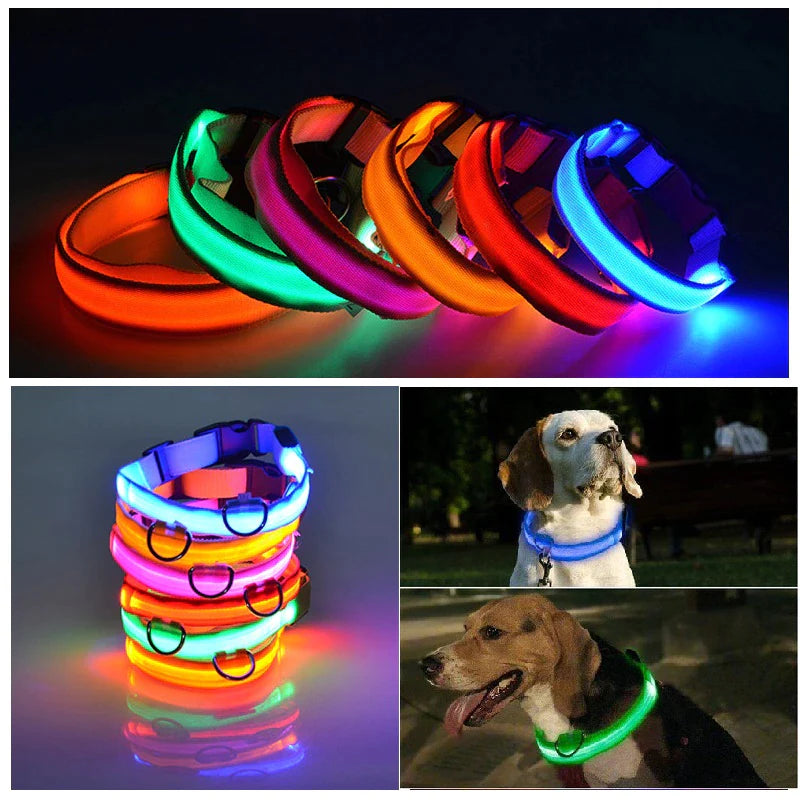 Viral LED Adjustable Dog Collar - Blinking Flashing Light Up Glow Pet Safety Waterproof