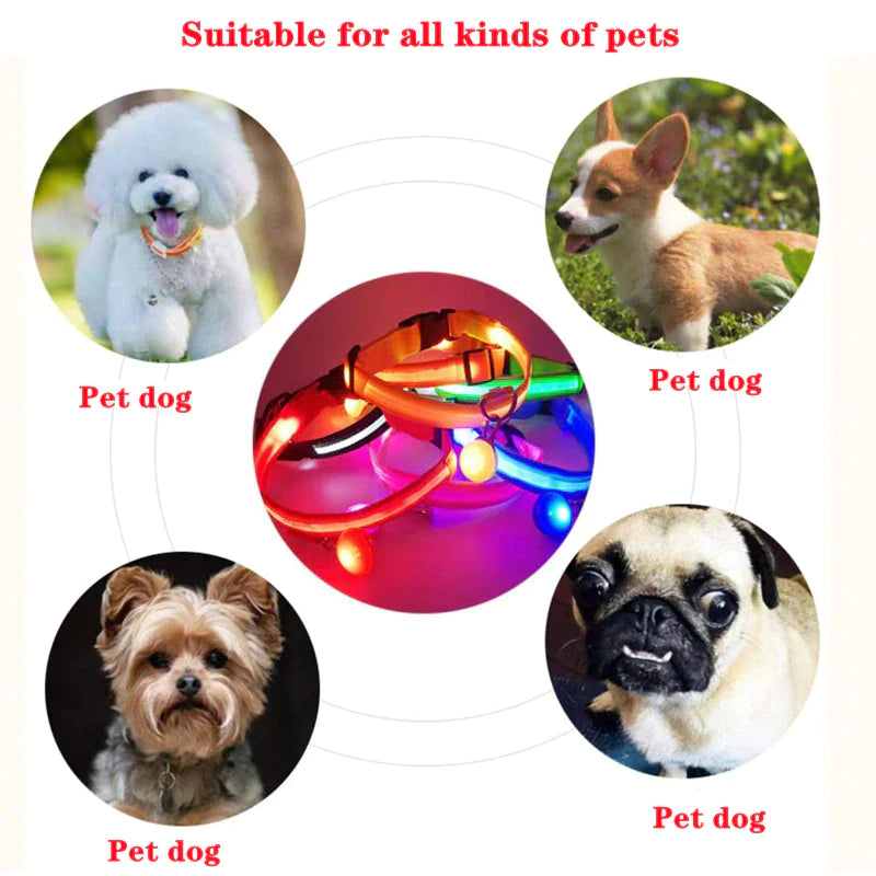 Viral LED Adjustable Dog Collar - Blinking Flashing Light Up Glow Pet Safety Waterproof