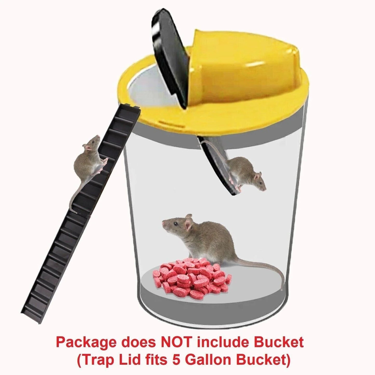 Viral In America Lid Bucket Mouse Trap Flip & Slide Effective Catcher 