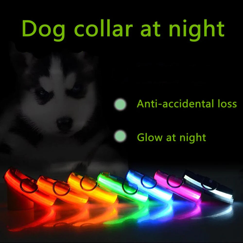 Viral LED Adjustable Dog Collar - Blinking Flashing Light Up Glow Pet Safety Waterproof