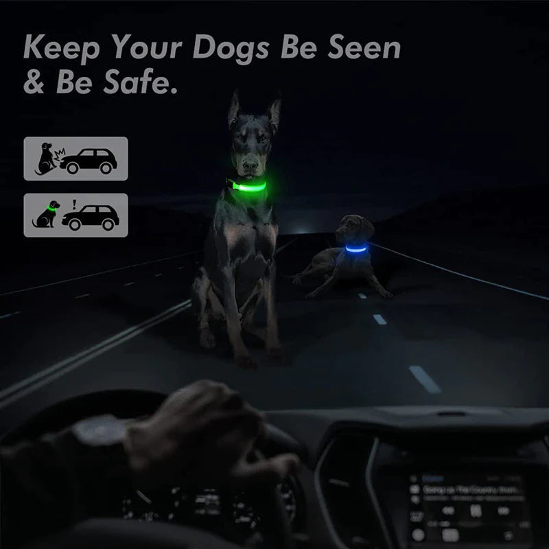 Viral LED Adjustable Dog Collar - Blinking Flashing Light Up Glow Pet Safety Waterproof