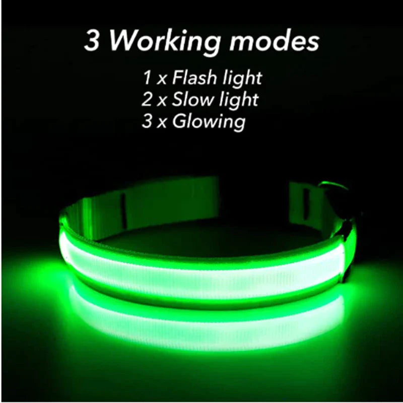 Viral LED Adjustable Dog Collar - Blinking Flashing Light Up Glow Pet Safety Waterproof