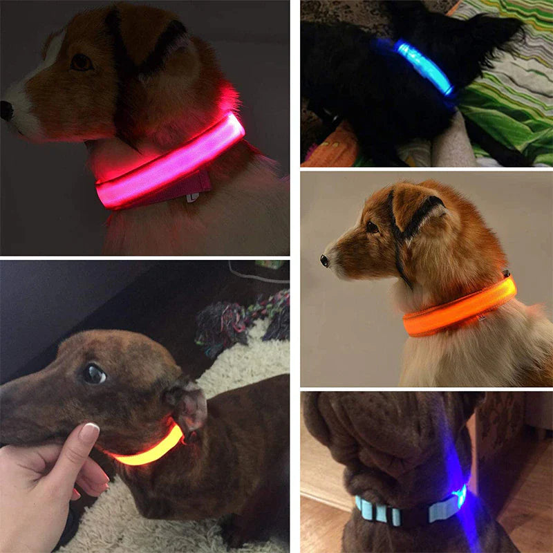 Viral LED Adjustable Dog Collar - Blinking Flashing Light Up Glow Pet Safety Waterproof