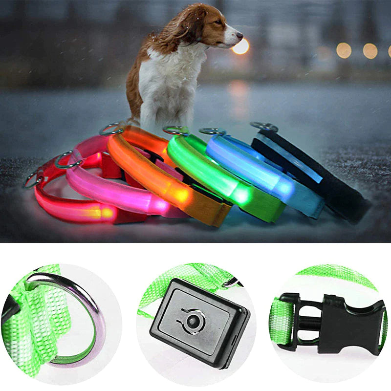 Viral LED Adjustable Dog Collar - Blinking Flashing Light Up Glow Pet Safety Waterproof