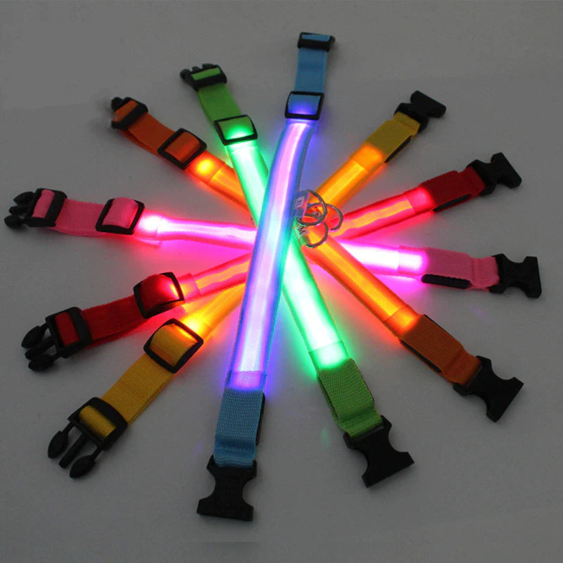 Viral LED Adjustable Dog Collar - Blinking Flashing Light Up Glow Pet Safety Waterproof