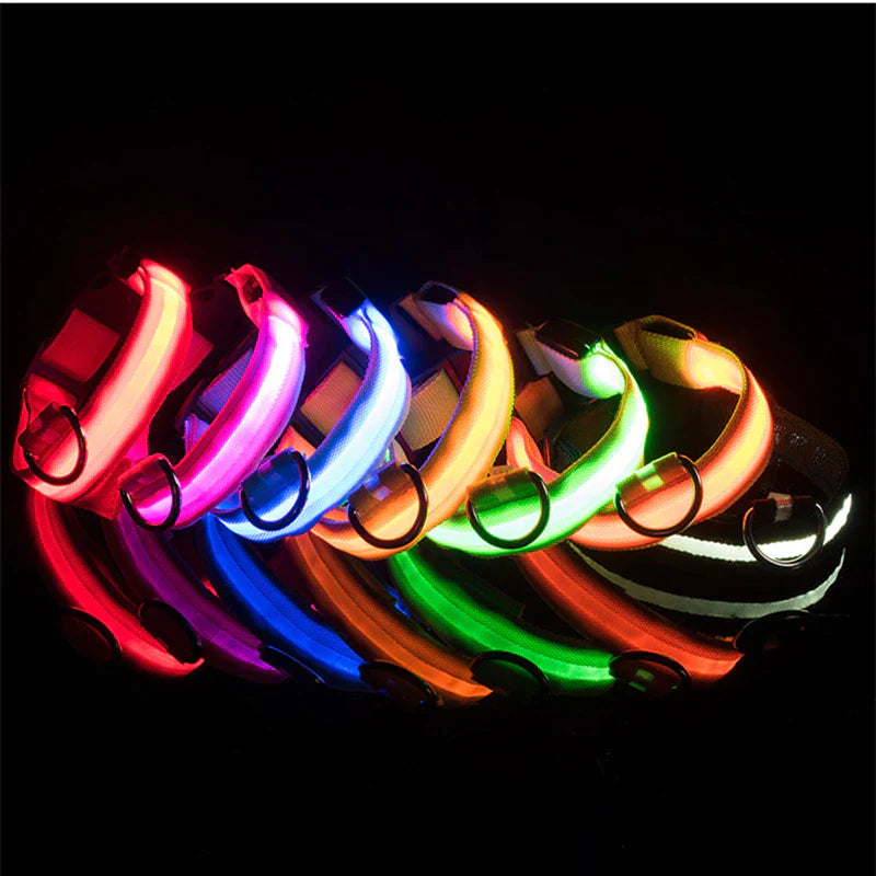 Viral LED Adjustable Dog Collar - Blinking Flashing Light Up Glow Pet Safety Waterproof