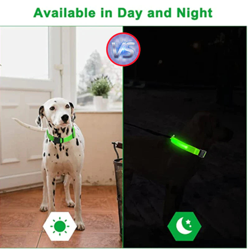 Viral LED Adjustable Dog Collar - Blinking Flashing Light Up Glow Pet Safety Waterproof