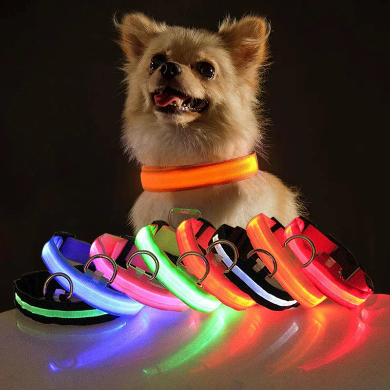 Viral LED Adjustable Dog Collar - Blinking Flashing Light Up Glow Pet Safety Waterproof