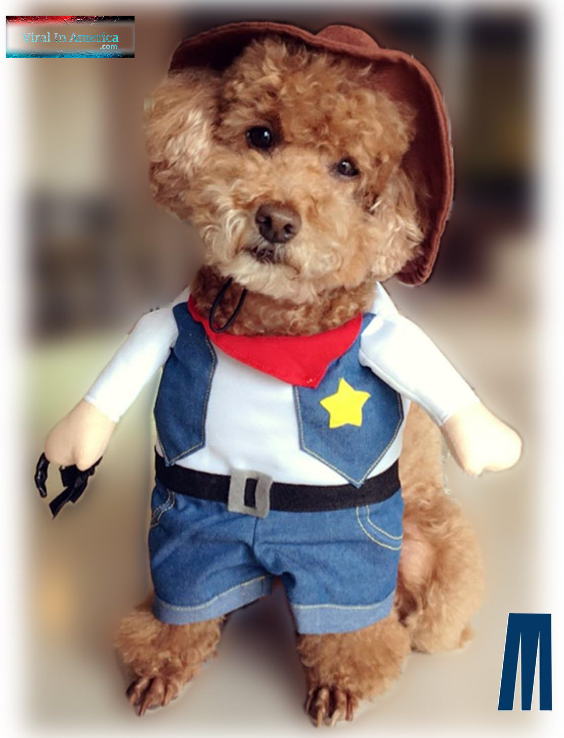 Viral in America Pet Dog Cat Halloween Costumes,The Cowboy for Party Christmas Special Events Costume,West Cowboy Uniform with Hat,Funny Pet Cowboy Outfit Clothing for Dog Cat(Xs) Blue